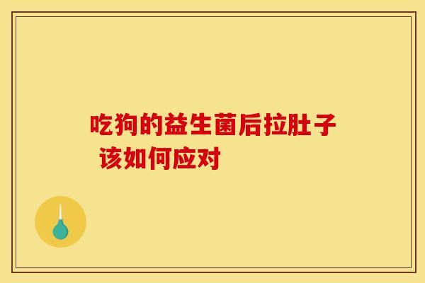 吃狗的益生菌后拉肚子 该如何应对