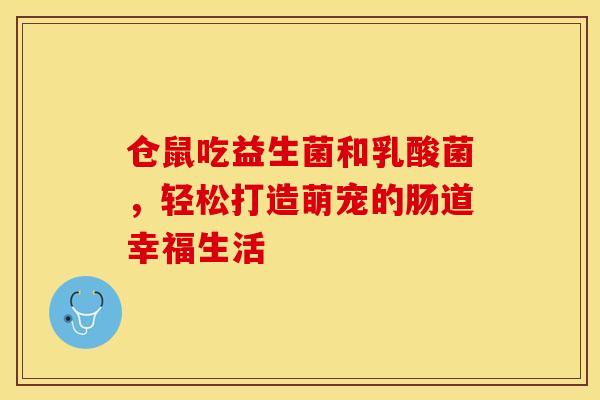 仓鼠吃益生菌和乳酸菌，轻松打造萌宠的肠道幸福生活