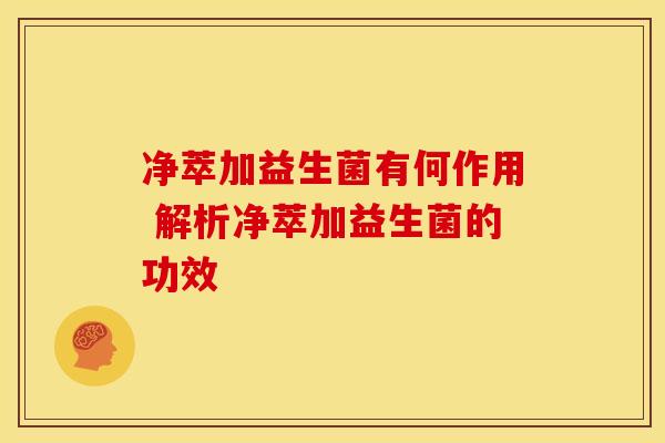 净萃加益生菌有何作用 解析净萃加益生菌的功效