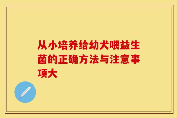 从小培养给幼犬喂益生菌的正确方法与注意事项大