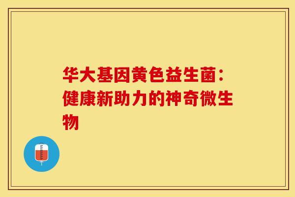华大基因黄色益生菌：健康新助力的神奇微生物