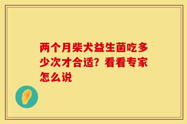 两个月柴犬益生菌吃多少次才合适？看看专家怎么说