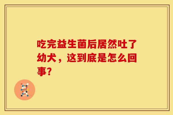 吃完益生菌后居然吐了幼犬，这到底是怎么回事？