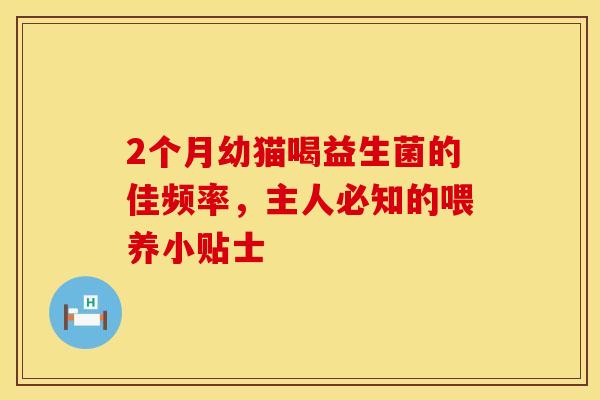2个月幼猫喝益生菌的佳频率，主人必知的喂养小贴士