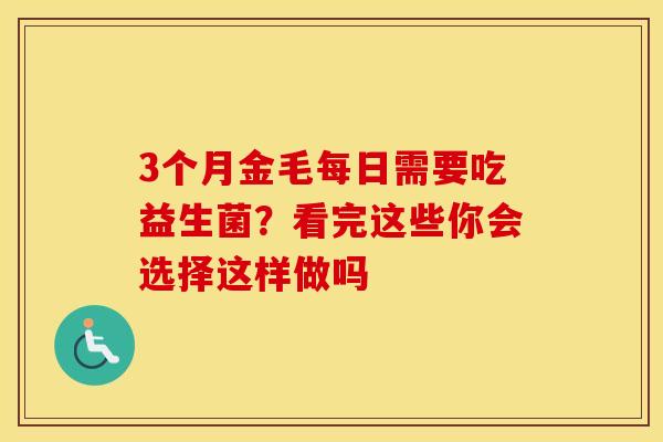 3个月金毛每日需要吃益生菌？看完这些你会选择这样做吗