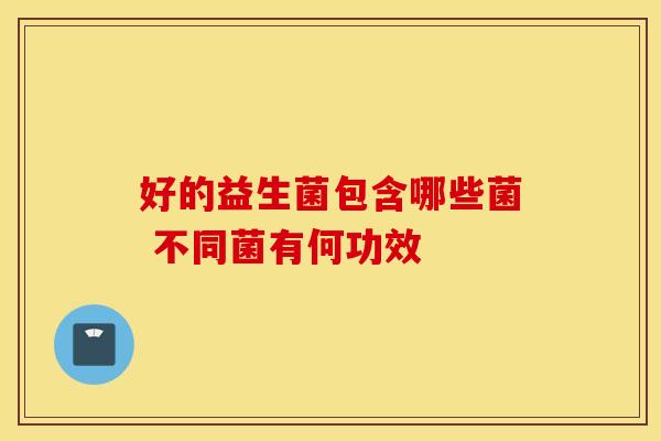 好的益生菌包含哪些菌 不同菌有何功效
