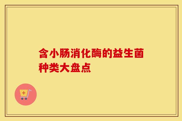 含小肠消化酶的益生菌种类大盘点