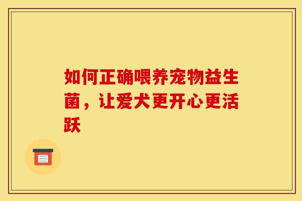 如何正确喂养宠物益生菌，让爱犬更开心更活跃