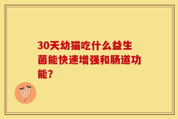 30天幼猫吃什么益生菌能快速增强和肠道功能？