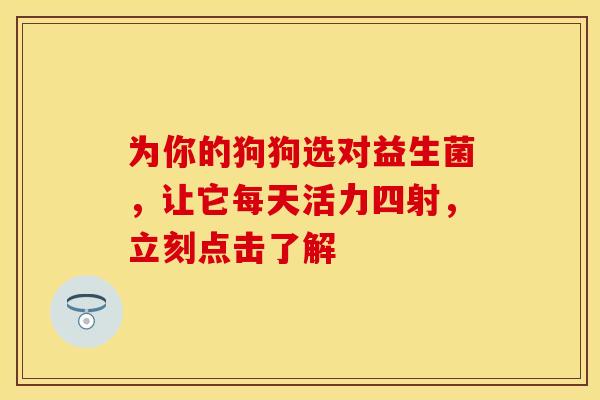 为你的狗狗选对益生菌，让它每天活力四射，立刻点击了解