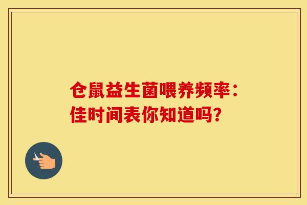 仓鼠益生菌喂养频率：佳时间表你知道吗？