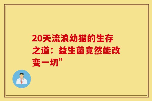 20天流浪幼猫的生存之道：益生菌竟然能改变一切”