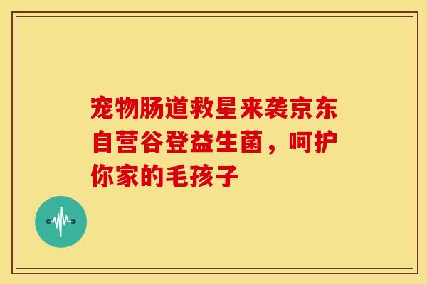 宠物肠道救星来袭京东自营谷登益生菌，呵护你家的毛孩子