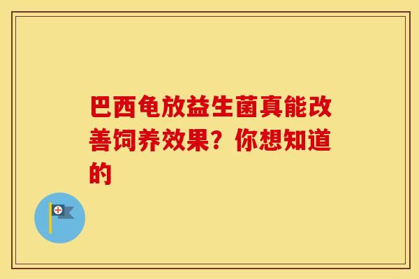 巴西龟放益生菌真能改善饲养效果？你想知道的