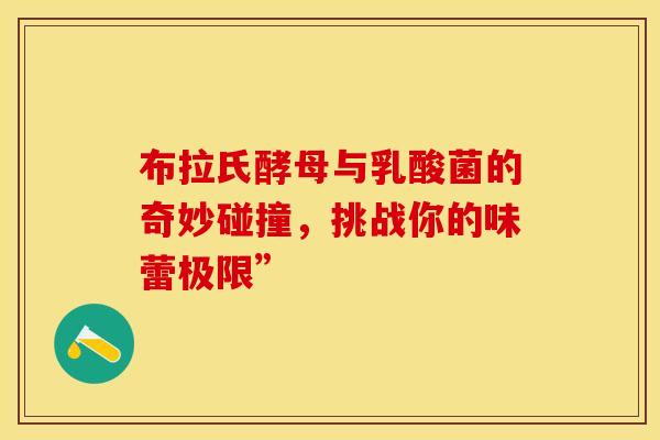 布拉氏酵母与乳酸菌的奇妙碰撞，挑战你的味蕾极限”