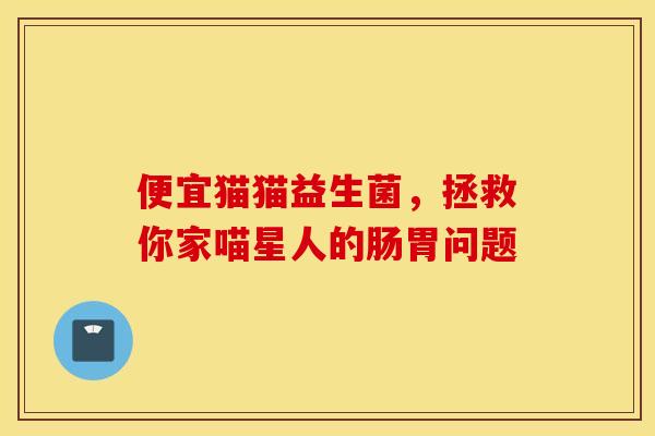 便宜猫猫益生菌，拯救你家喵星人的肠胃问题