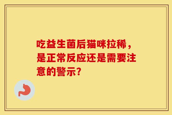 吃益生菌后猫咪拉稀，是正常反应还是需要注意的警示？