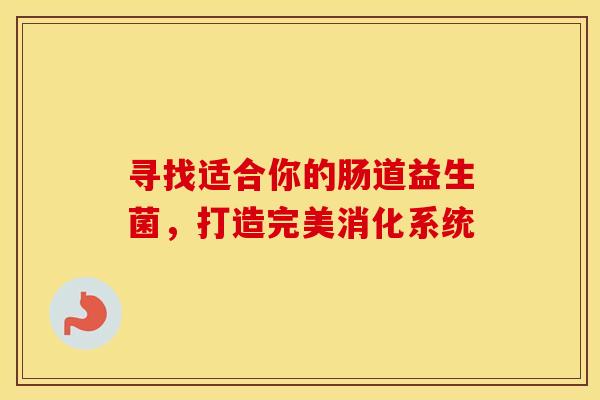 寻找适合你的肠道益生菌，打造完美消化系统