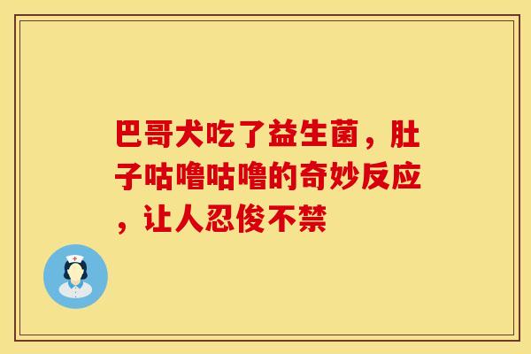 巴哥犬吃了益生菌，肚子咕噜咕噜的奇妙反应，让人忍俊不禁