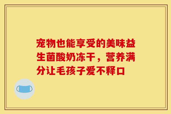 宠物也能享受的美味益生菌酸奶冻干，营养满分让毛孩子爱不释口