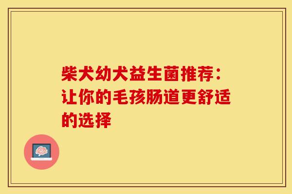 柴犬幼犬益生菌推荐：让你的毛孩肠道更舒适的选择
