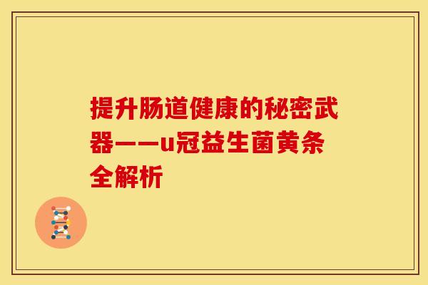 提升肠道健康的秘密武器——u冠益生菌黄条全解析