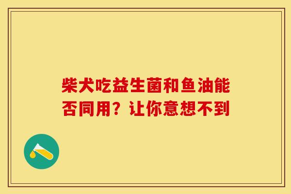柴犬吃益生菌和鱼油能否同用？让你意想不到