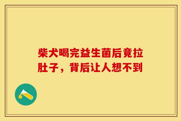 柴犬喝完益生菌后竟拉肚子，背后让人想不到