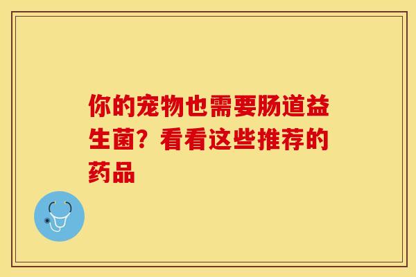 你的宠物也需要肠道益生菌？看看这些推荐的药品
