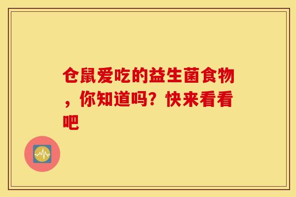仓鼠爱吃的益生菌食物，你知道吗？快来看看吧