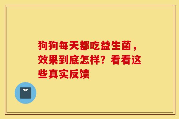 狗狗每天都吃益生菌，效果到底怎样？看看这些真实反馈