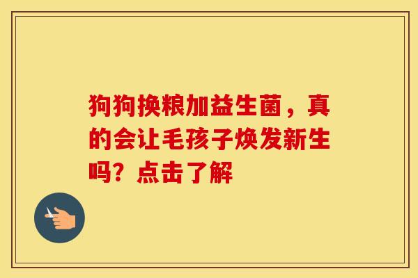 狗狗换粮加益生菌，真的会让毛孩子焕发新生吗？点击了解