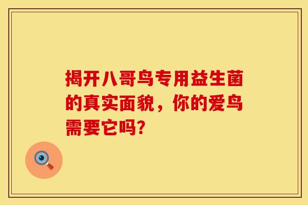 揭开八哥鸟专用益生菌的真实面貌，你的爱鸟需要它吗？