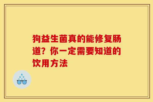狗益生菌真的能修复肠道？你一定需要知道的饮用方法