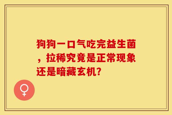 狗狗一口气吃完益生菌，拉稀究竟是正常现象还是暗藏玄机？