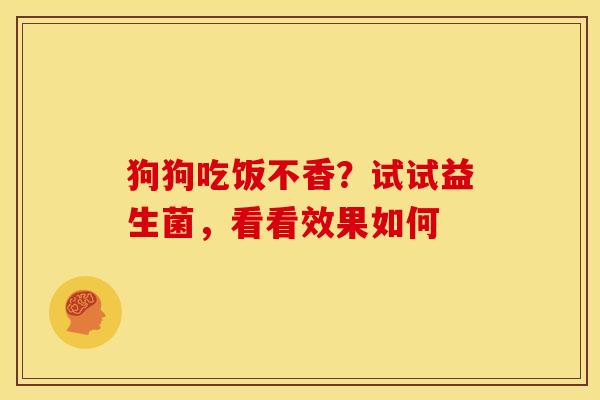 狗狗吃饭不香？试试益生菌，看看效果如何