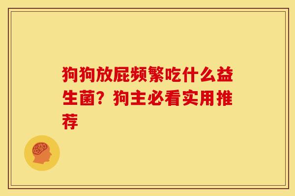 狗狗放屁频繁吃什么益生菌？狗主必看实用推荐