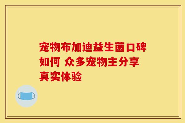 宠物布加迪益生菌口碑如何 众多宠物主分享真实体验
