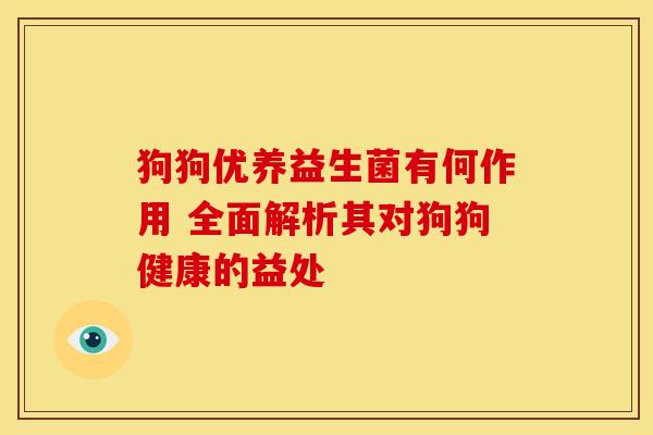 狗狗优养益生菌有何作用 全面解析其对狗狗健康的益处