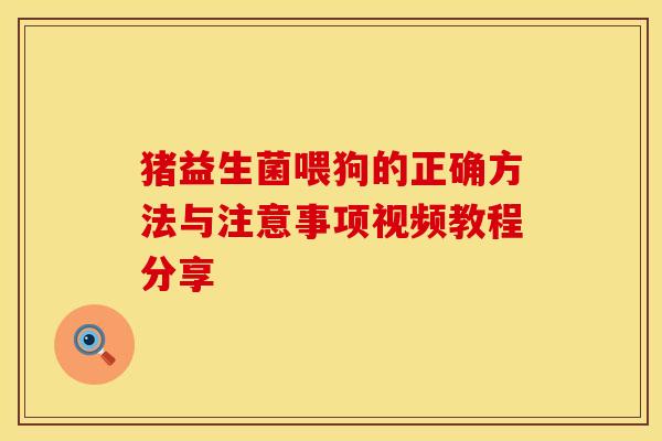 猪益生菌喂狗的正确方法与注意事项视频教程分享