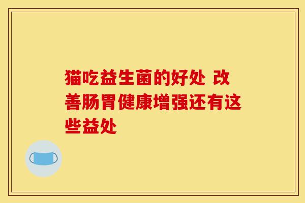 猫吃益生菌的好处 改善肠胃健康增强还有这些益处