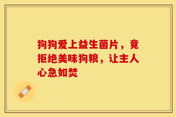 狗狗爱上益生菌片，竟拒绝美味狗粮，让主人心急如焚