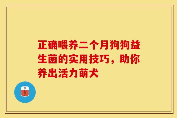 正确喂养二个月狗狗益生菌的实用技巧，助你养出活力萌犬
