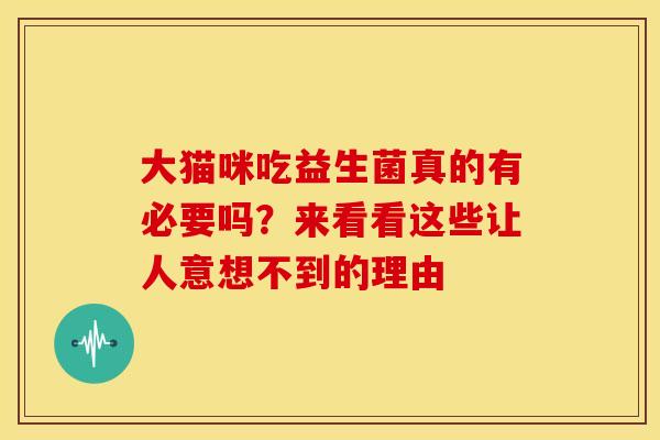 大猫咪吃益生菌真的有必要吗？来看看这些让人意想不到的理由
