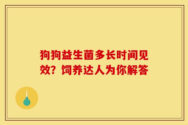 狗狗益生菌多长时间见效？饲养达人为你解答
