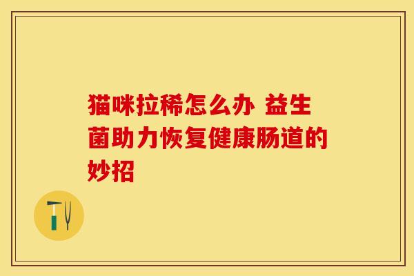 猫咪拉稀怎么办 益生菌助力恢复健康肠道的妙招