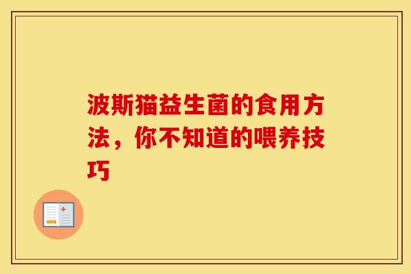 波斯猫益生菌的食用方法，你不知道的喂养技巧