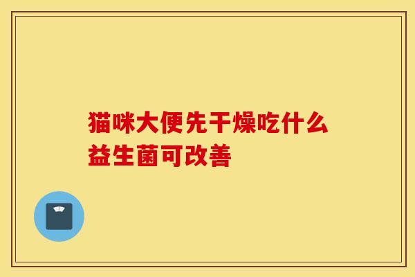 猫咪大便先干燥吃什么益生菌可改善