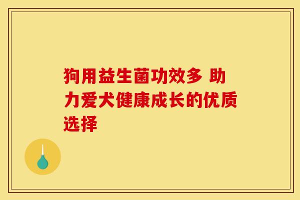 狗用益生菌功效多 助力爱犬健康成长的优质选择