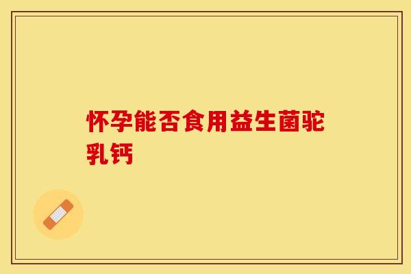 怀孕能否食用益生菌驼乳钙